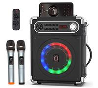 JYX Casse Karaoke con 2 Microfoni Wireless, Altoparlante Portatile Bluetooth per Casse Karaoke Professionale Completo con Supporto per Controllo Bassi/Alti TF/USB, AUX In, FM, REC