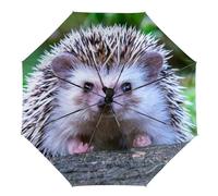 JZemdybill Ombrello a 3 pieghe aperto con cane bassotto natalizio, Simpatico piccolo riccio, Taglia unica