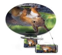 JZemdybill Tappetino da picnic, simpatico scoiattolo rotondo, coperta da picnic, tappeti per esterni, 149 cm x 148 cm