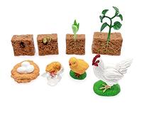 JZK 2 Set ciclo vita mette scena figure di un pollo e pianta, ciclo vita piante fagioli, modelli ciclo vita pollo, giocattoli ciclo vita animali, ciclo vita uovo a pulcino, educativi precoci