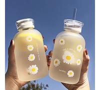 JZSMY Borraccia da 480 ml per succo di latte, con 2 coperchi, piccola margherita, opaca, portatile, trasparente, creativa, pratica tazza (1 pezzo, sei fiori)