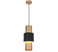 JZWCHQ Altezza Regolabile Moderna Piccolo Ferro cereno a Sospensione in Metallo a Testa Singola con tonalità Cilindro Semplice Lampada a soffitto contemporanea per Arredamento per la casa