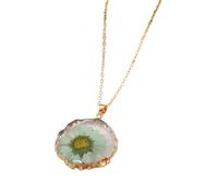 JZWCHQ Fiori pressati secchi per Donne e Ragazze, Fiori secchi Circle a Ciondolo Collana a Sospensione Floro Fresco conservato, dimenticami Non Collana, Gioielli di Fiori pressati