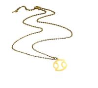 JZWCHQ Gioielli Nuovo 2025 Arrivo 12 Costellazione Del Pendente Collane Per Le Donne Il Suo Ariete Capricorno Toro Collana Catene Girocollo Ciondolo Con Per Voi Accessori Regalo Creativo Alla Moda