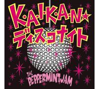 K. a. I. K. a. N Disco Night