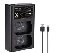 K&F CONCEPT NP FZ100 Caricabatterie con dual slot Micro USB e Tipo C Doppia
