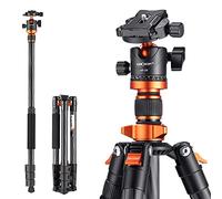 K&F Concept Treppiede per Fotocamera in Carbonio 160cm, Cavalletto Fotografico con Monopiede e Testa a Sfera a 360°, Treppiede Professionale Compatto, Compatibile con DSLR/Reflex, Max 10kg, D254C1