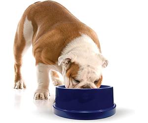 K&H Pet | Ciotola rinfrescante per l'acqua per Cani e Gatti Cooling Water Bowl | 2,7 Litri