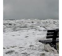 K. Leimer The Starting Errors (CD) Album