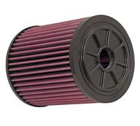 Filtro aria Filtro a lunga durata E-0664 K&N Filters per AUDI A6 C7 Avant