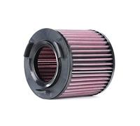 K&N E-2997 Filtri Aria Sostitutivi, Lavabile e Riutilizzabile