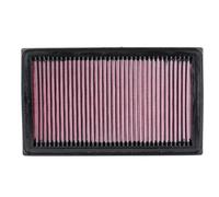 K&N Filters 33-2031-2 Filtro aria