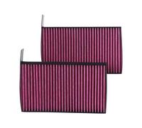 K&N Engineering Filtro abitacolo DVF5079 Carboni attivi Tesla Model 3 (2 per scatola)