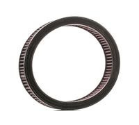 K&N Filters E-1210 Filtro aria