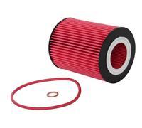 K&N Filters HP-7007 Filtro olio