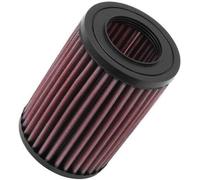 K&n Filtro Aria E-9257 Smart Fortwo 0,7 Benzina 0,8 Diesel 2004-2007