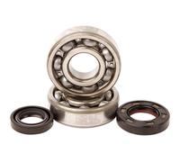 K001 KIT CUSCINETTI E PARAOLI ALBERO MOTORE HONDA CR 85 RB BIG WHEEL 2007