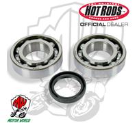 K043 KIT CUSCINETTI E PARAOLI BANCO HOT RODS KAWASAKI KX 250 F 2007 2008 2009