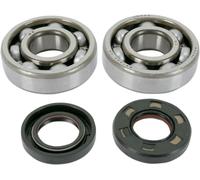 K045 KIT CUSCINETTI E PARAOLIO ALBERO MOTORE PRINCIPALE YAMAHA YZ 125 2009