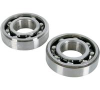 K056 KIT CUSCINETTI E PARAOLIO ALBERO MOTORE PRINCIPALE KAWASAKI KLX 450 R 2010