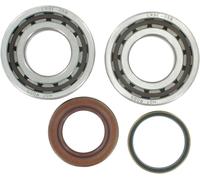 K067 KIT CUSCINETTI E PARAOLIO ALBERO MOTORE PRINCIPALE KTM SX-F 250 2009
