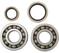 K229 KIT CUSCINETTI E PARAOLIO ALBERO MOTORE PRINCIPALE PER SUZUKI RM 250 2000