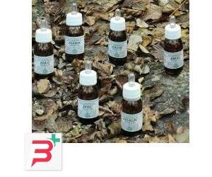 KA PLANTA OLIO MASSAGGIO 100 ML