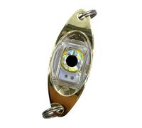 KACCDE Luce di pesca subacquea LED Attraenti Luce dell'occhio Attrattori per la Notte Acqua Dolce Acqua Salata Pesce Lampada
