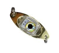 KACCDE Luce di pesca subacquea LED Attraenti Luce dell'occhio Attrattori per la Notte Acqua Dolce Acqua Salata Pesce Lampada