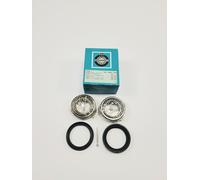 Kaco 2048.1 Kit Cuscinetti Ruota Anteriore Per Nissan Cherry Prairie Sunny I
