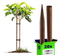 KADAX Bastoncini di legno, 120 cm x 23 mm, set da 20 pezzi, in legno impregnato, pali di legno per piante rampicanti, alberi, pomodori e arbusti, bastoncini di pomodoro