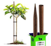 KADAX Bastone in legno 150 cm x 23 mm, 1 pezzo, asta per piante in legno impregnato, supporto per piante, alberi e arbusti