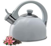 KADAX Bollitore in acciaio inox, bollitore da 1,7 l, disponibile in diversi colori, bollitore per tutti i piani cottura, bollitore in acciaio inox, bollitore a flauto retrò (grigio)