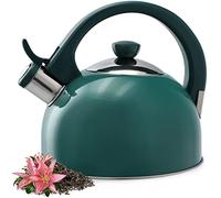 KADAX Bollitore in acciaio inox 1,7 l, vari colori, per fuoco universale, bollitore retrò, verde