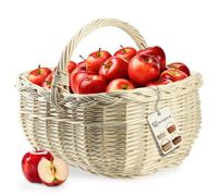 KADAX Cestino di vimini per funghi, cestino ovale per la spesa, robusto cestino da picnic con manico con manico, cestino per bottiglie, cestino da giardino (bianco, 36 x 28 x 27 cm)