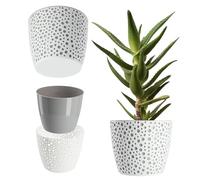 KADAX Flower Pot in plastica, ⌀ 11-21 cm, 5 Colori, Vaso Semplice, Robusto pentola vegetale, fioriera, Protezione della pentola di Fiori Rotonda per Felce (⌀ 13 cm, Grigio)