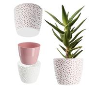 KADAX Flower Pot in plastica, ⌀ 11-21 cm, 5 colori, vaso semplice, robusto pentola vegetale, fioriera, protezione della pentola di fiori rotonda per felce (⌀ 21 cm, rosa)