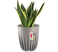 KADAX Flowerpot fatto di plastica con materiali naturali, pentole a piante moderne, pentola vegetale con motivo geometrico, vaso di fiori naturali, sovrapprovaggio (? 14,5 cm, grigio)