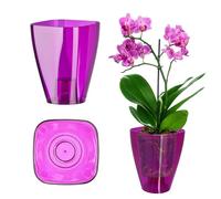 KADAX Flowerpot, Slim Orchid Pot, semplice fioriera, secchio di fiori per orchidea, erba da ragazzo, margherite, trama per cucina e soggiorno (⌀ 12 cm, angolare, prugna)