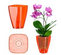 KADAX Flowerpot, Slim Orchid Pot, semplice fioriera, secchio di fiori per orchidea, erba da ragazzo, margherita, roba per cucina e soggiorno (⌀ 9 cm, angolare, rosso)