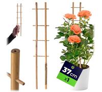 KADAX Griglia per traliccio in bambù, 37 x 7 cm, 1 pezzo, supporto per piante da appartamento e piante rampicanti