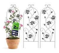 KADAX Griglie in metallo, 40 x 120 cm, 2 pezzi, traliccio per piante rampicanti, traliccio da giardino in acciaio verniciato a polvere, supporto per piante per rose e clematidi