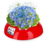 KADAX Ikebana vaso di plastica per fiori, ciotola rotonda, 12 cm, colore rosso