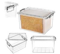 KADAX Scatola di trasporto 40 l per telaio Langstroth e Dadant, contenitore 54 x 38 x 28,5 cm con coperchio per conservare e trasportare il miele in modo sicuro