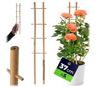 KADAX Set di 37 Bamboo Leader, 5 Set, Manager di Supporto per Fiori, Supporto per Piante da Giardino a Base di bambù, griglia di Fiori, aiuti di Rango, aiuti da Arrampicata (H: 38 cm, Doppio)