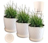 KADAX Vaso da Fiori con Sottovaso, Vaso per Fiori, Rotondo, 16 cm, Crema, 3 P...