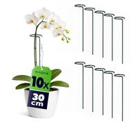 KADAX Supporti per fiori 30 cm, set da 10 pezzi, supporto per piante in acciaio, bastoncini per orchidee per stabilizzare steli e fiori, supporto per fiori per orchidee