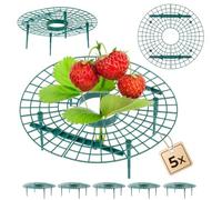 KADAX Supporti per fragole 30 cm, 5 pezzi, protezione per fragole, fragoliera in plastica, protezione per fragole, protezione contro le lumache per piante di fragole, griglia per fragole