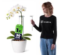 KADAX Supporto per fiori 30 cm, 1 pezzo, supporto per piante in acciaio, asta per orchidee per stabilizzare steli e fiori, in metallo per orchidee