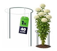 KADAX Supporto per piante da 40 cm di altezza, 1 pezzo, supporto per piante perenni, peonie e ortensie (semicircolare)